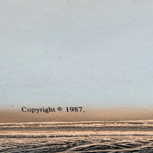 5804901