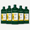 5-Pack Nourishing Shampoo
