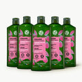 5-pack Shine Shampoo