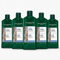 5-Pack Volume Shampoo
