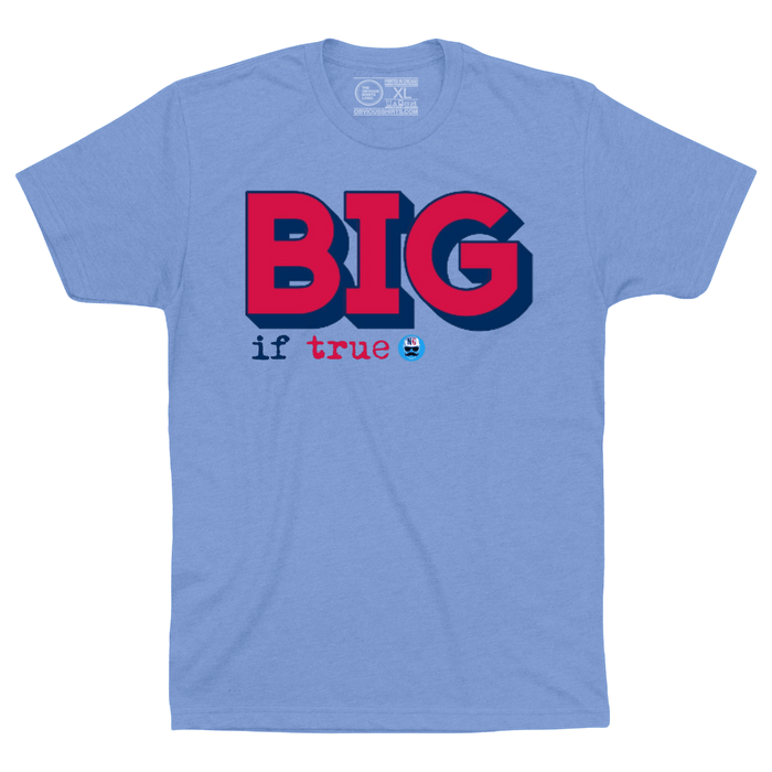 BIG IF TRUE. - OBVIOUS SHIRTS