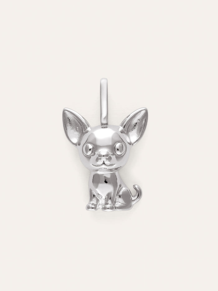 Charm Chihuahua