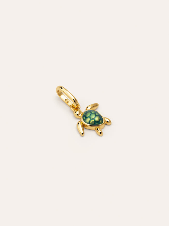 Charm Tortuga Baño Oro