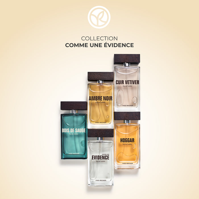 Eau de toilette for men Ambre Noir 100 ml