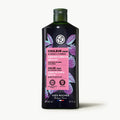 Illuminating Purple Shampoo - Color