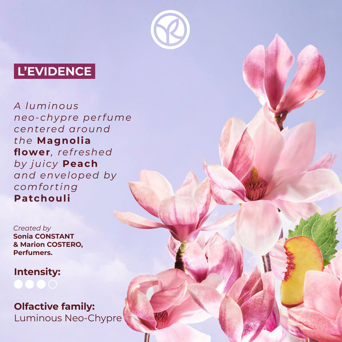 L'evidence Set