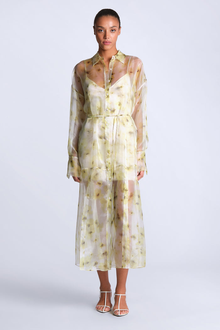Monica Printed Dress