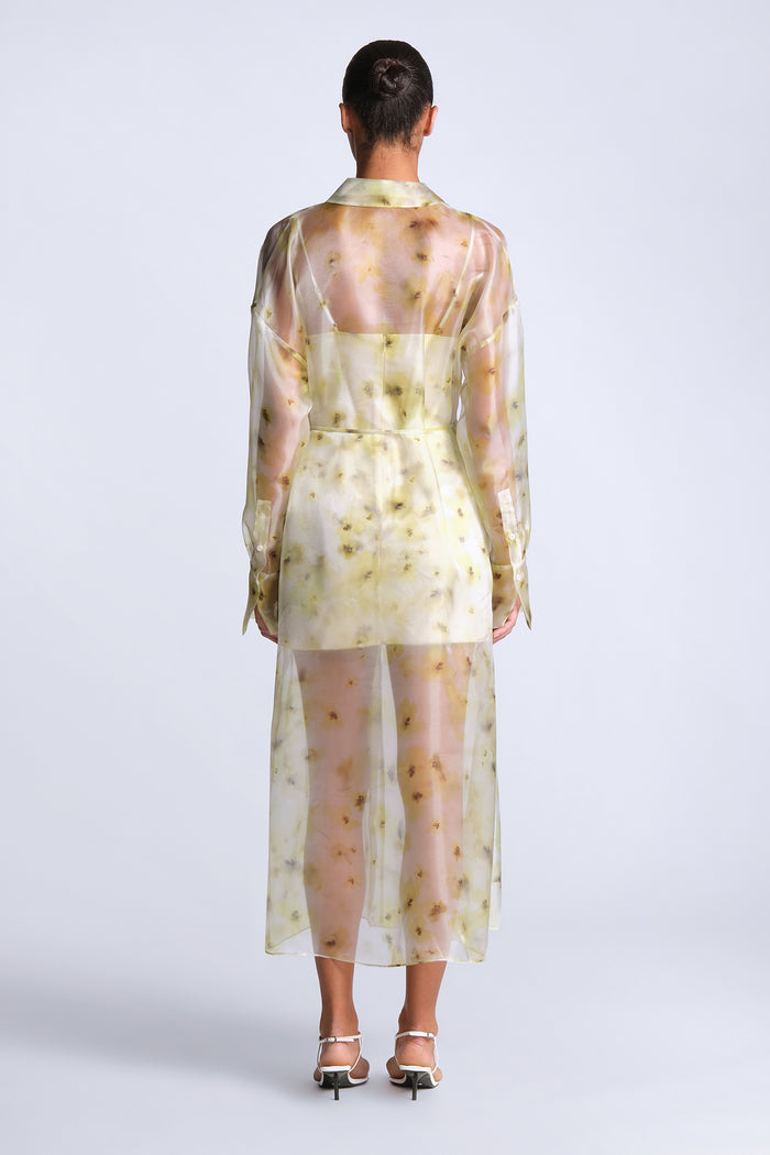 Monica Printed Dress