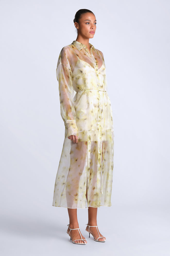 Monica Printed Dress