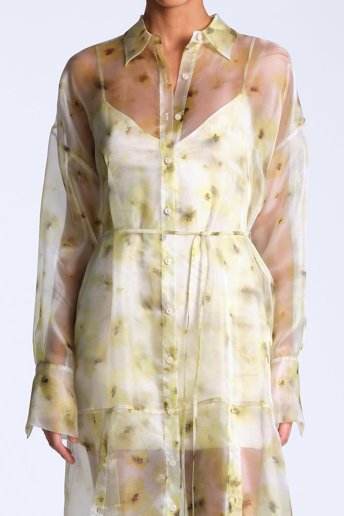 Monica Printed Dress
