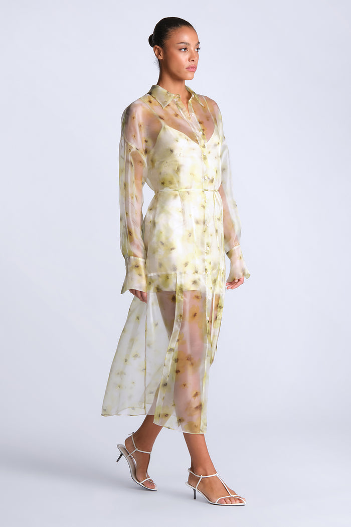 Monica Printed Dress