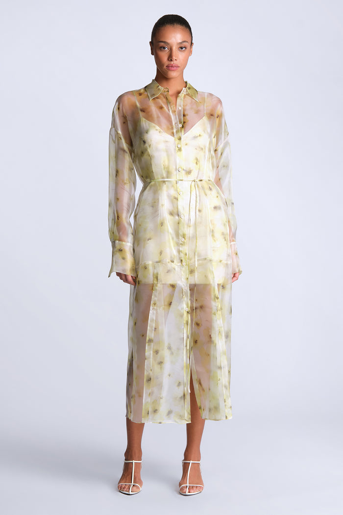 Monica Printed Dress