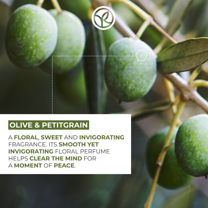Olive & Petitgrain Moisturizing Hand Cream