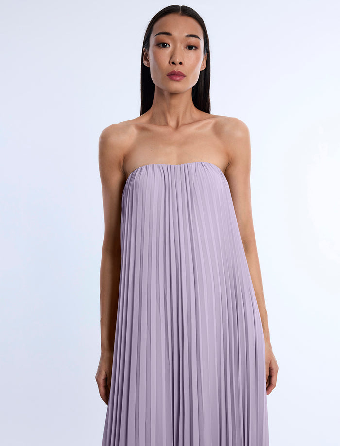 Pleated Gown