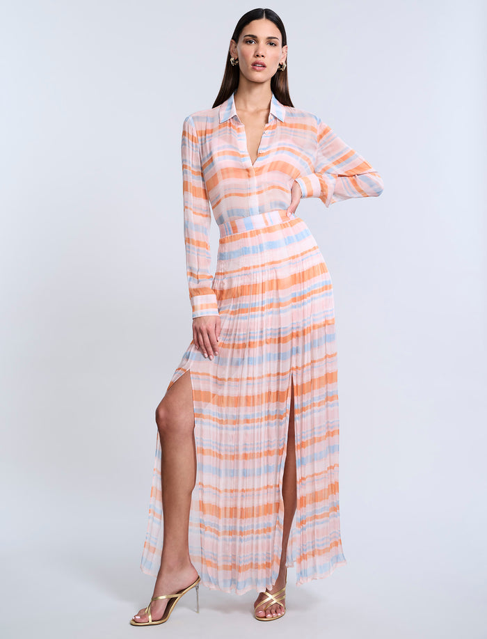 Printed Pleated Skirt
