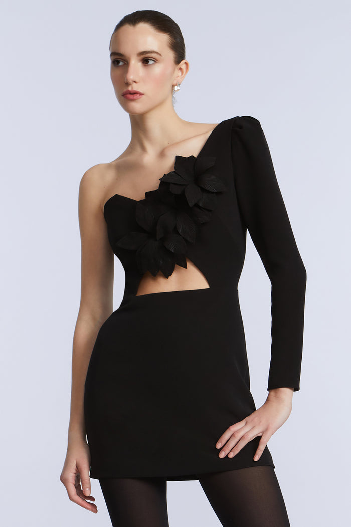 Puff Sleeve Mini Dress