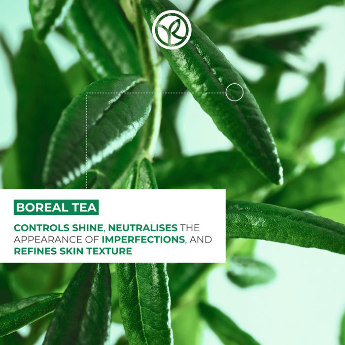 Rebalancing & Antioxydant Essence - Serum