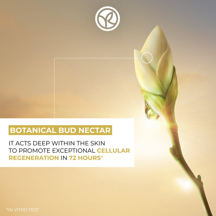 Regenerating Anti-Aging Full Set