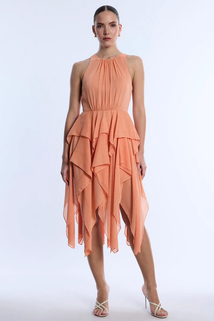 Ruffle Skirt Dress