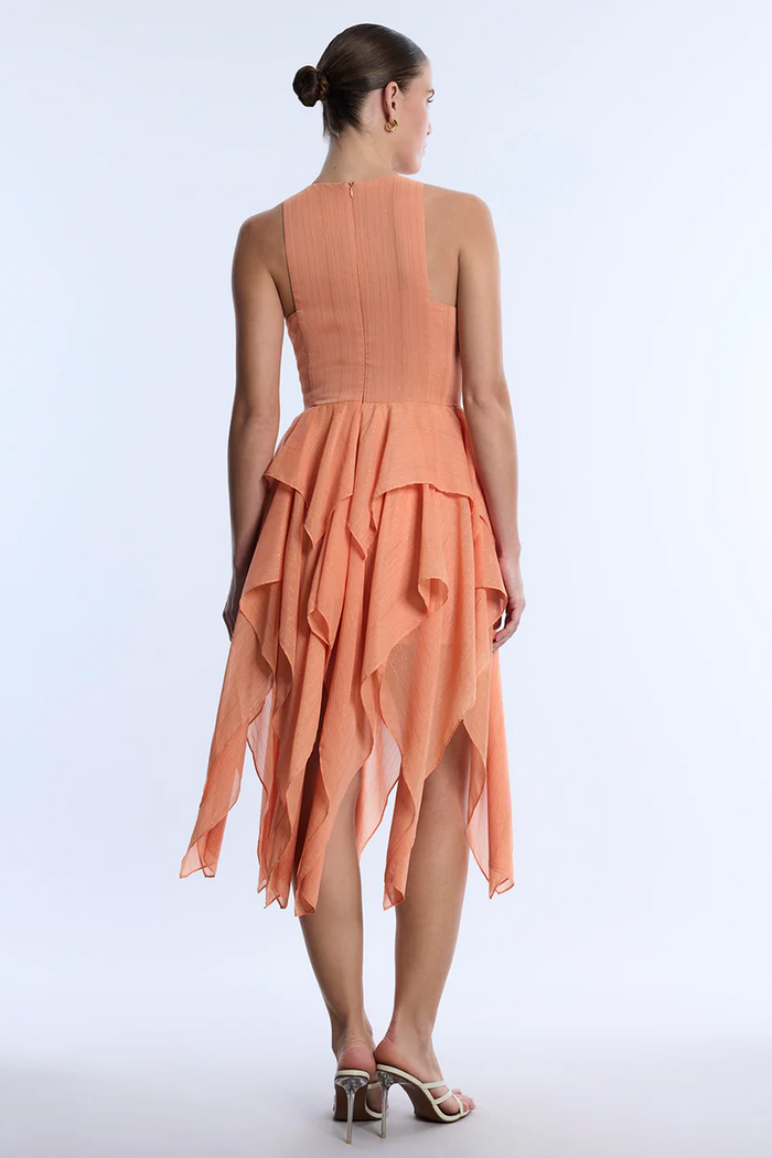 Ruffle Skirt Dress