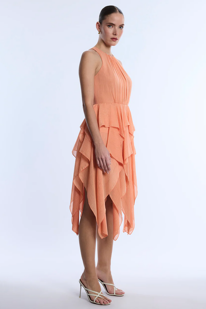 Ruffle Skirt Dress