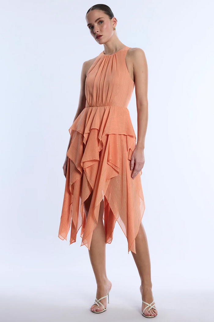 Ruffle Skirt Dress