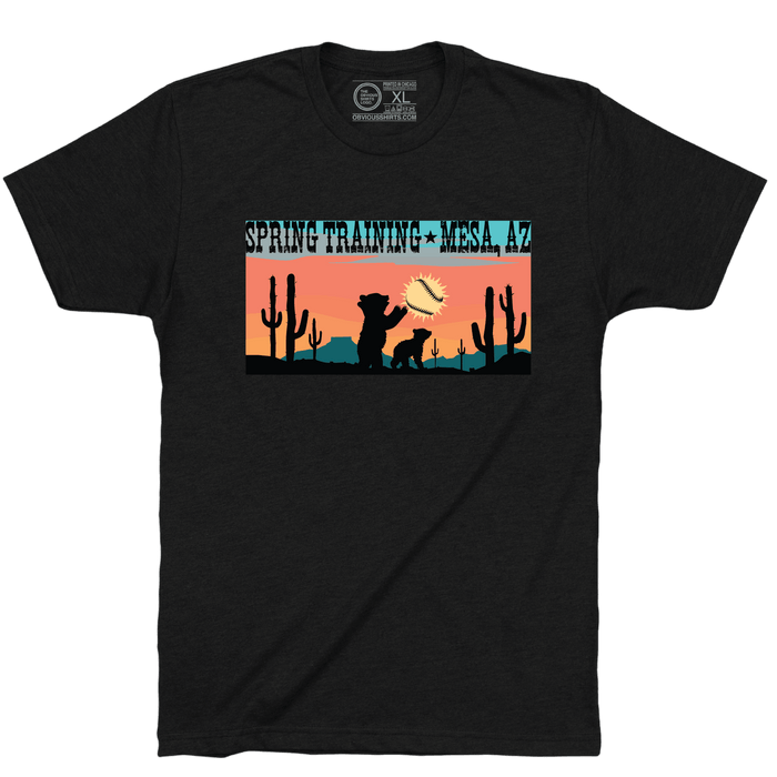 SPRING TRAINING MESA ARIZONA. - OBVIOUS SHIRTS