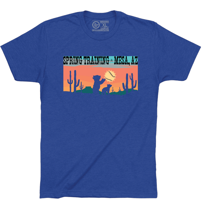 SPRING TRAINING MESA ARIZONA. - OBVIOUS SHIRTS