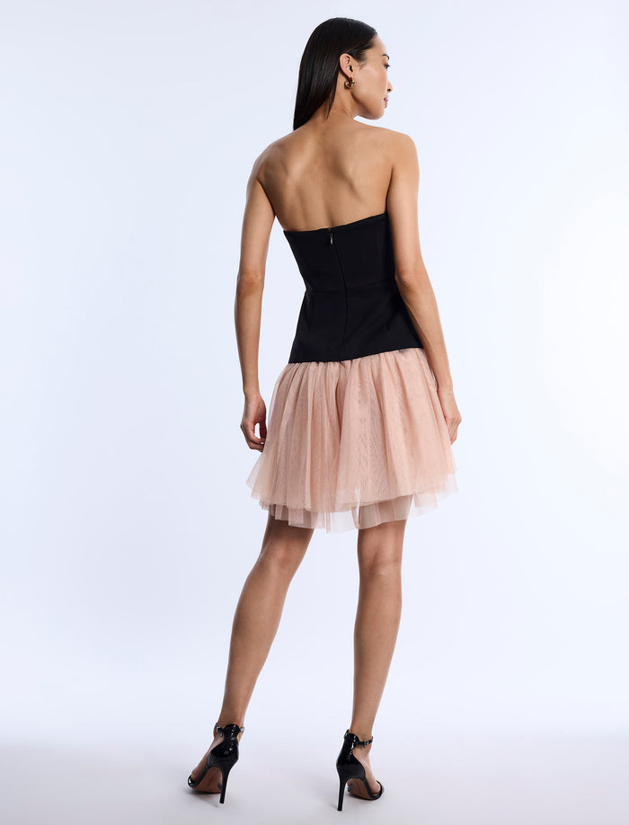 Strapless Tutu Dress