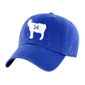 THE GOAT DAD HAT. - OBVIOUS SHIRTS
