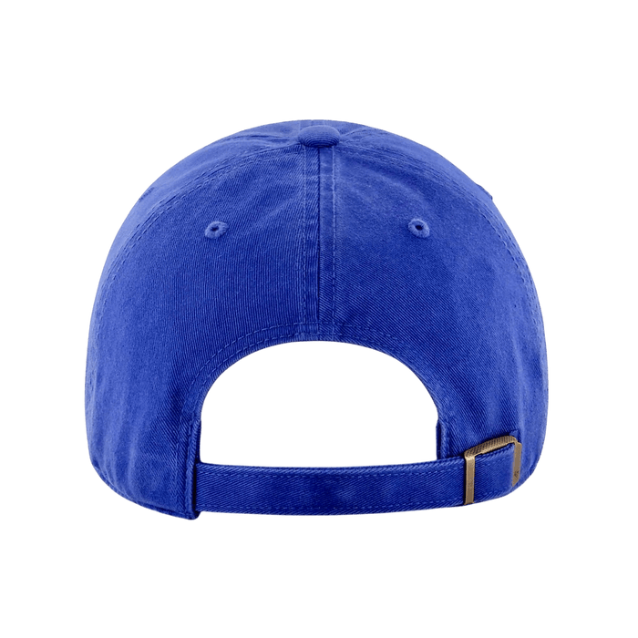 THE RYNO DAD HAT. - OBVIOUS SHIRTS