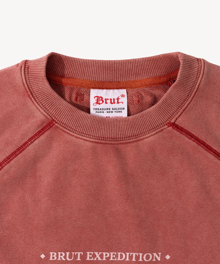 THE SHORT-SLEEVE CREWNECK Sweatshirts X-SMALL / FADED RED - BRUT Clothing